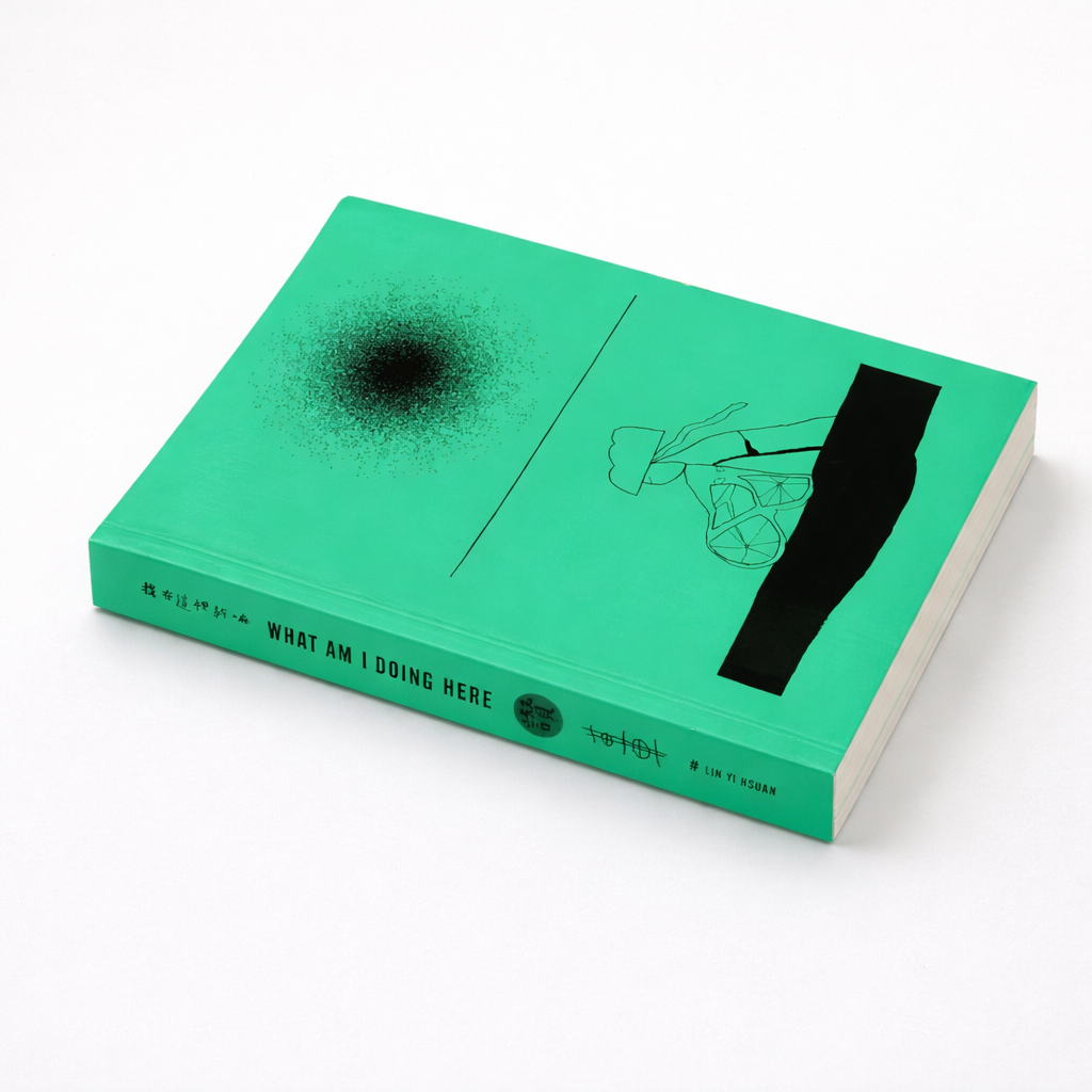 Lin Yi Hsuan個人作品集 2
